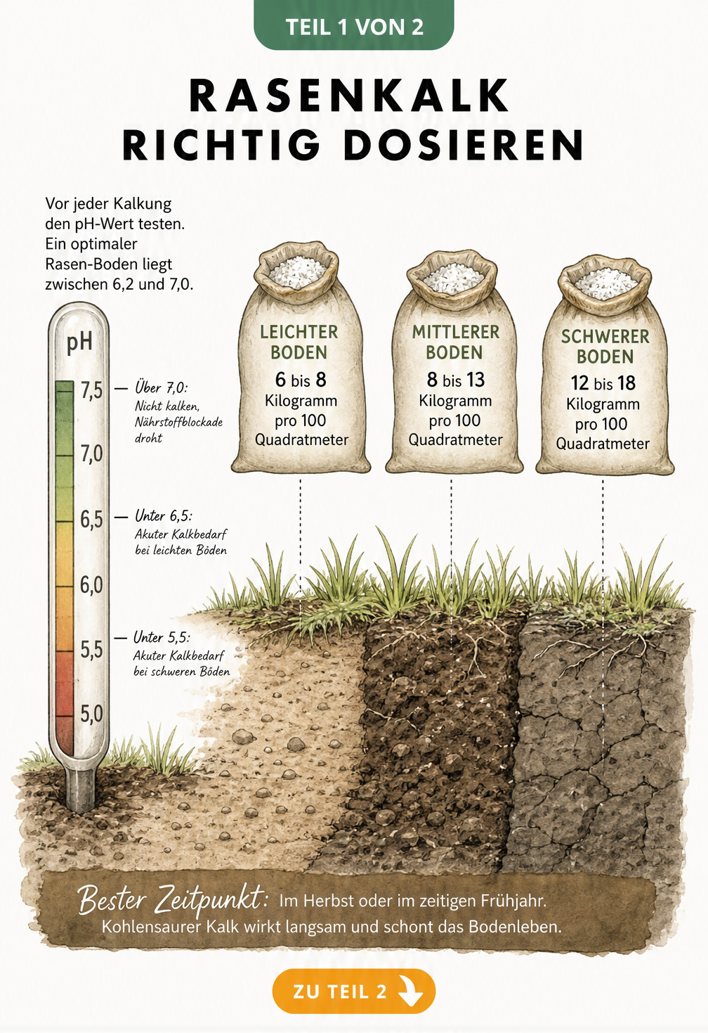 Illustration eines Gartenbodens mit pH-Skala und Dosierungsempfehlungen für Rasenkalk je nach Bodenart