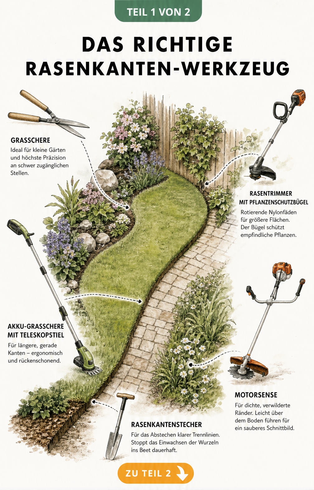 Illustration verschiedener Werkzeuge zum Rasenkanten schneiden wie Grasschere, Rasentrimmer, Motorsense und Rasenkantenstecher in einem Gartenbeet