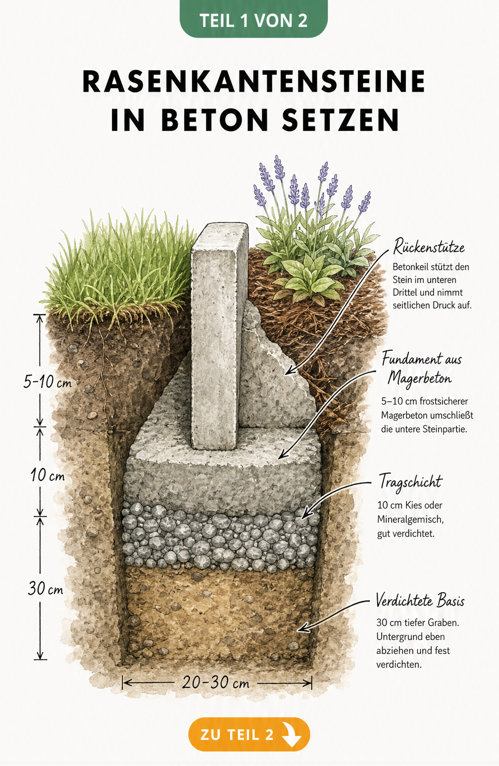 Querschnitt durch das Erdreich beim Setzen von Rasenkantensteinen in Beton mit Maßangaben für Fundament und Rückenstütze