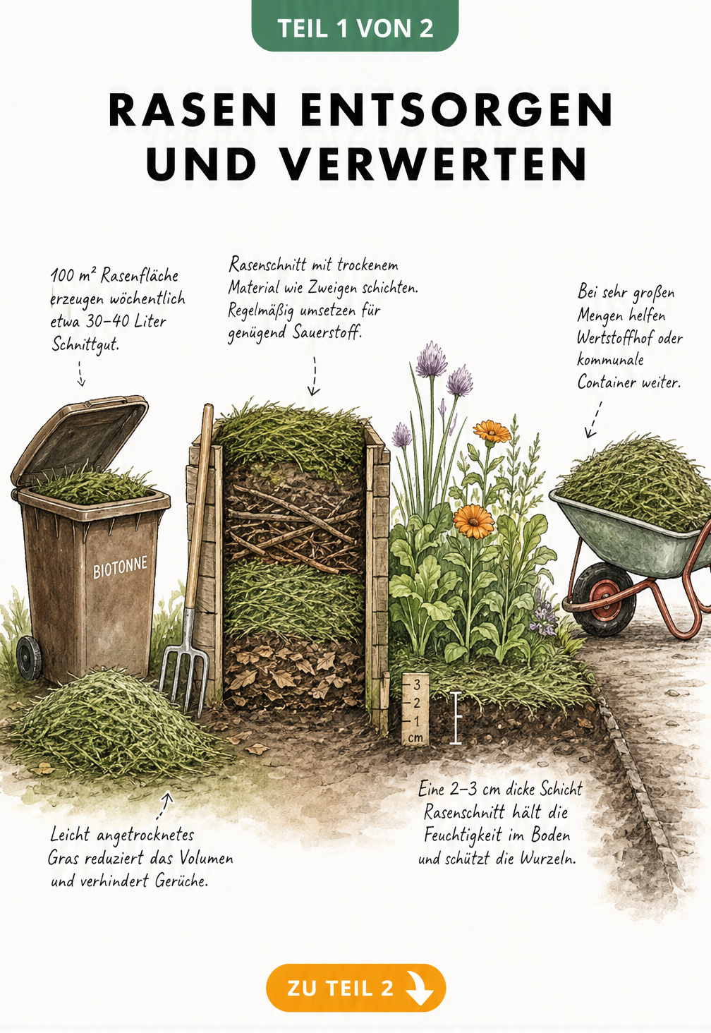 Illustration eines Gartens mit Biotonne, Komposter, gemulchtem Beet und Schubkarre zur Verwertung von Rasenschnitt