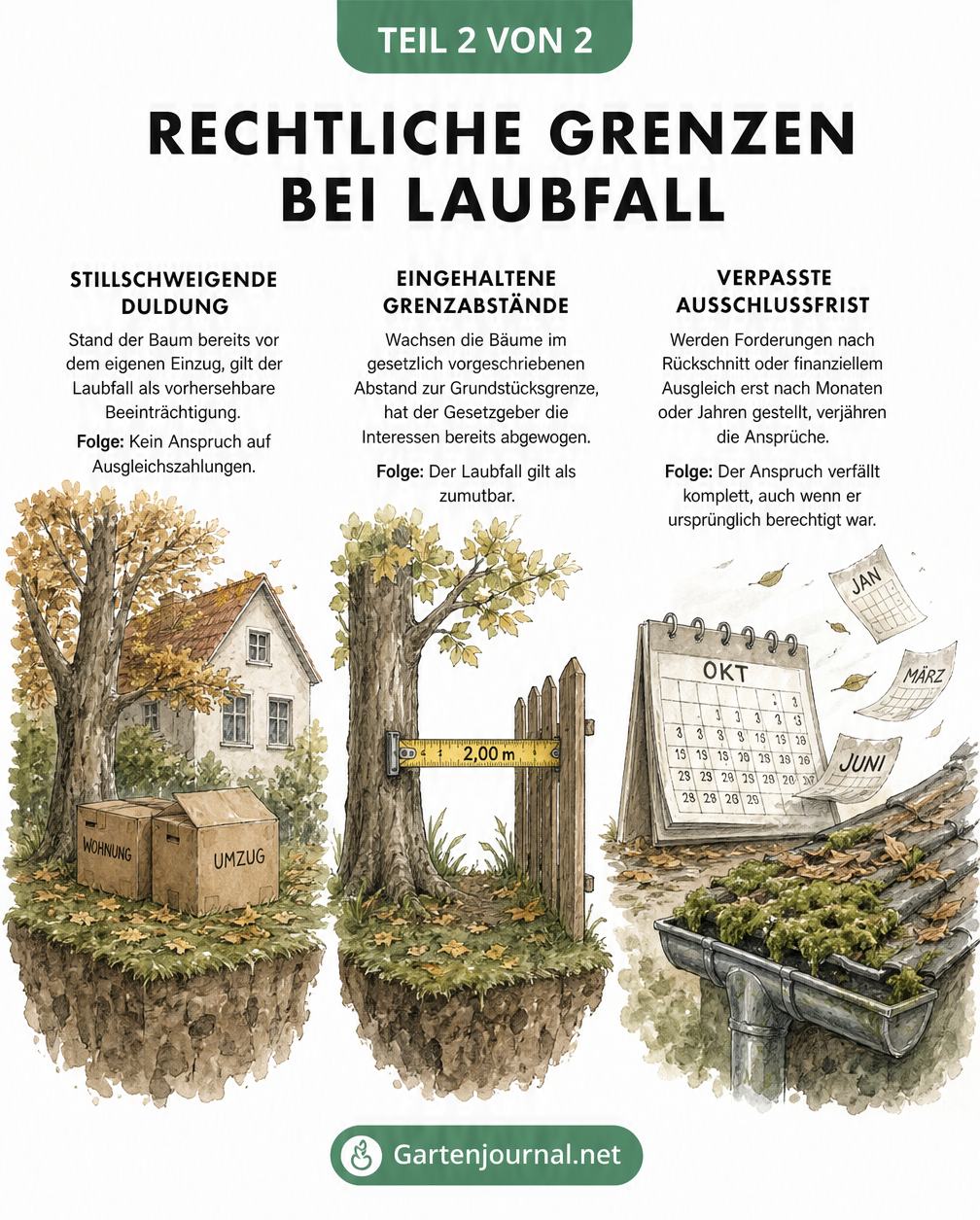 Drei illustrierte Szenen zu rechtlichen Grenzen bei Laubfall: Einzug, Grenzabstand und Verjährung