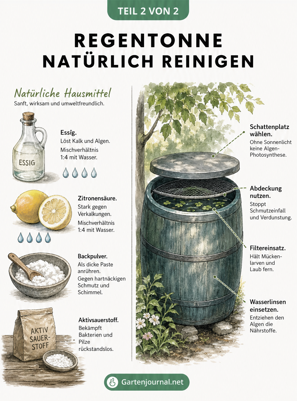 Übersicht natürlicher Hausmittel wie Essig und Backpulver zur Reinigung der Regentonne sowie Tipps zur Algenprävention