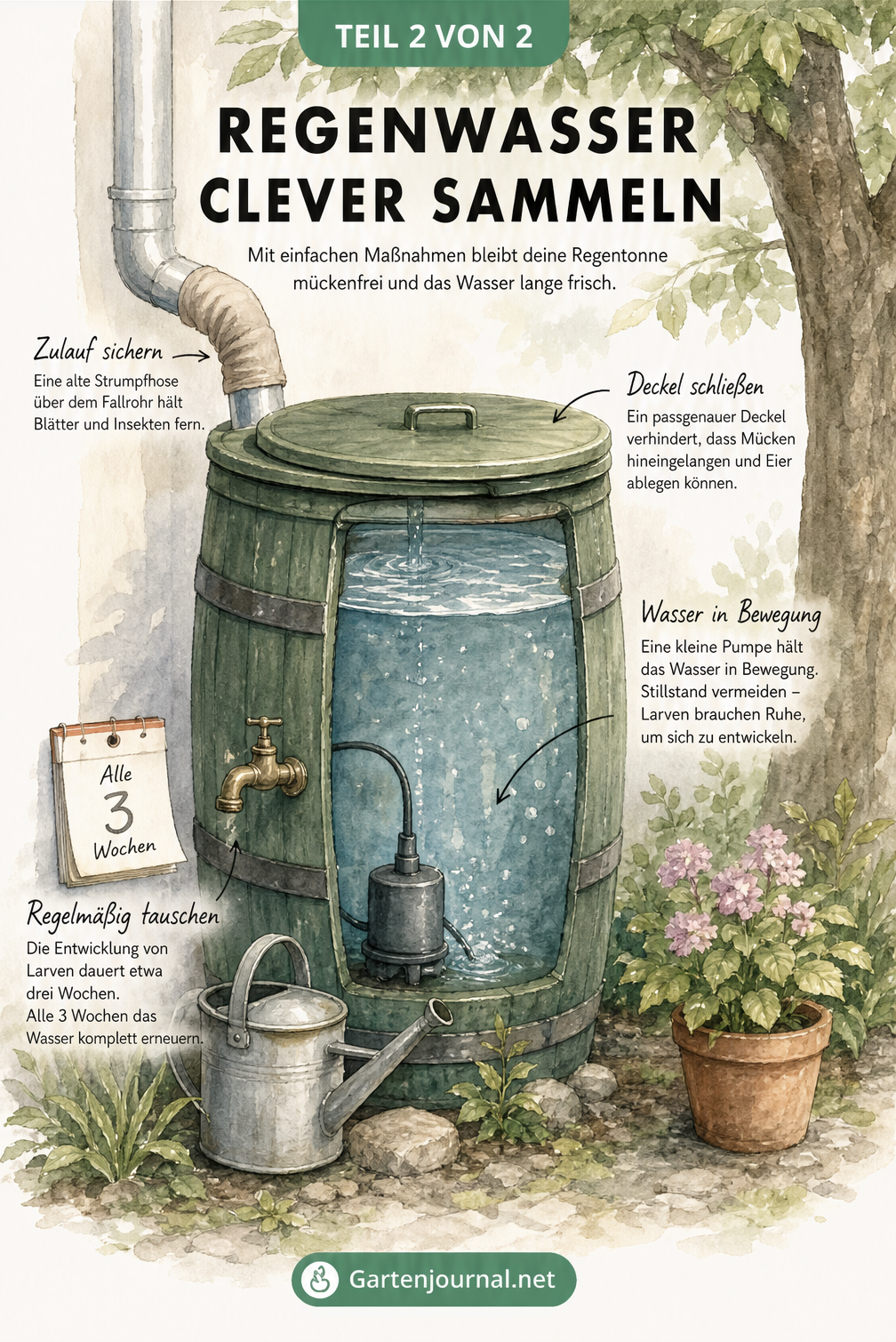 Illustration einer mückensicheren Regentonne mit Deckel, Strumpfhosen-Filter und Wasserpumpe