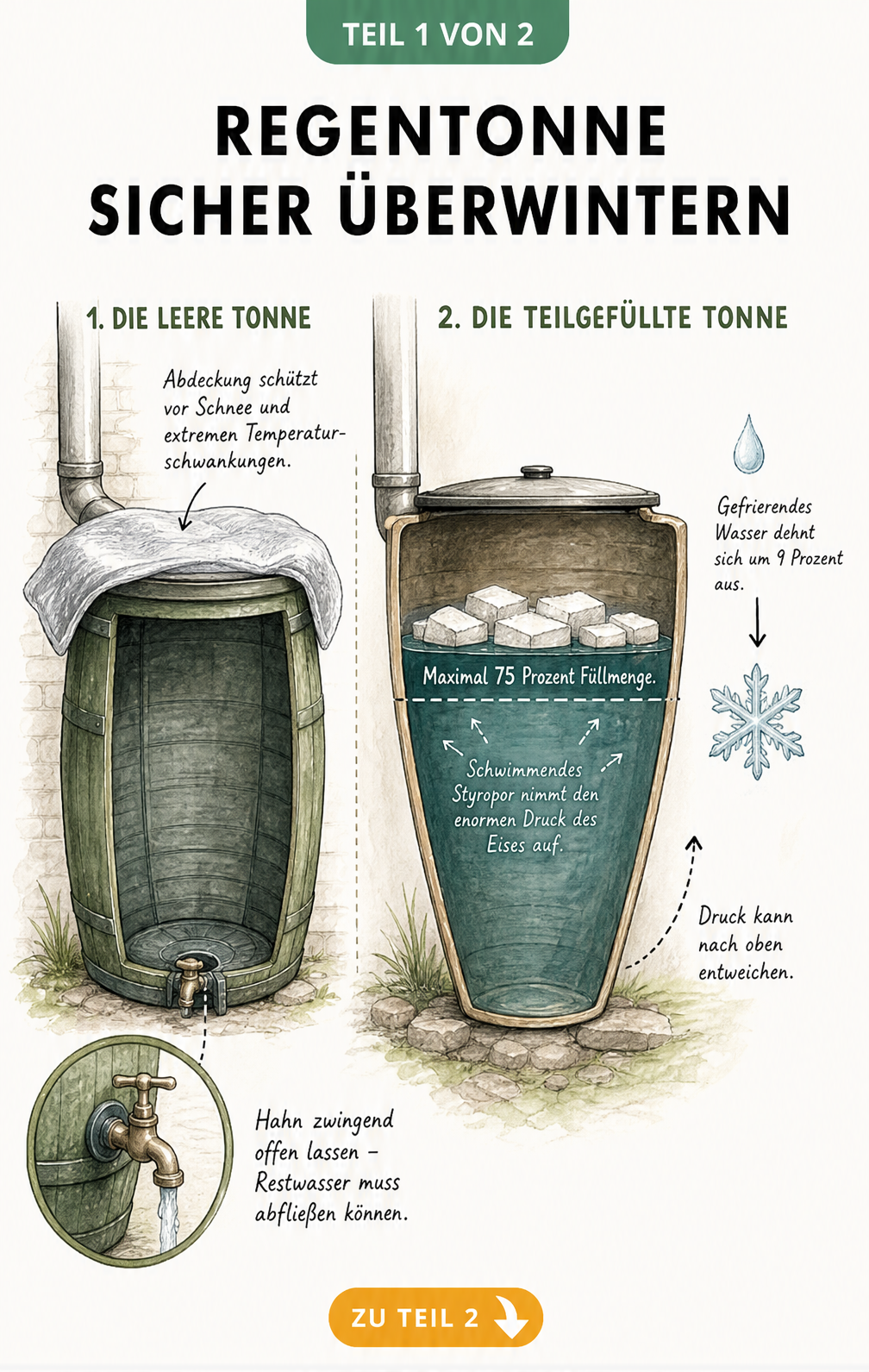 Schnittdarstellung zweier Regentonnen, die zeigen, wie man sie sicher überwintert: eine leere Tonne mit offenem Hahn und eine teilgefüllte Tonne mit...