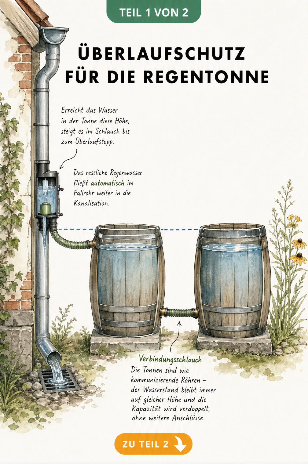 Querschnitt einer Hauswand mit Fallrohr und zwei verbundenen Regentonnen, die einen Überlaufschutz und das Prinzip der kommunizierenden Röhren zeigen.