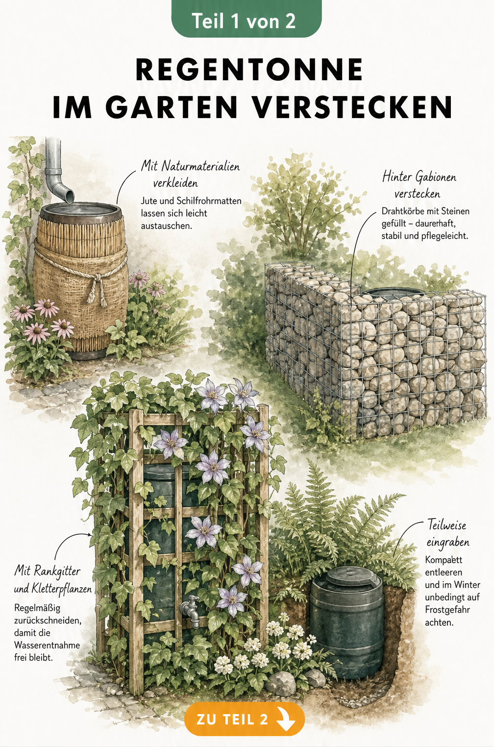 Illustration von vier Methoden, um eine Regentonne im Garten zu verstecken: Rankgitter, im Boden eingegraben, Gabionenwand und Naturmaterialien.