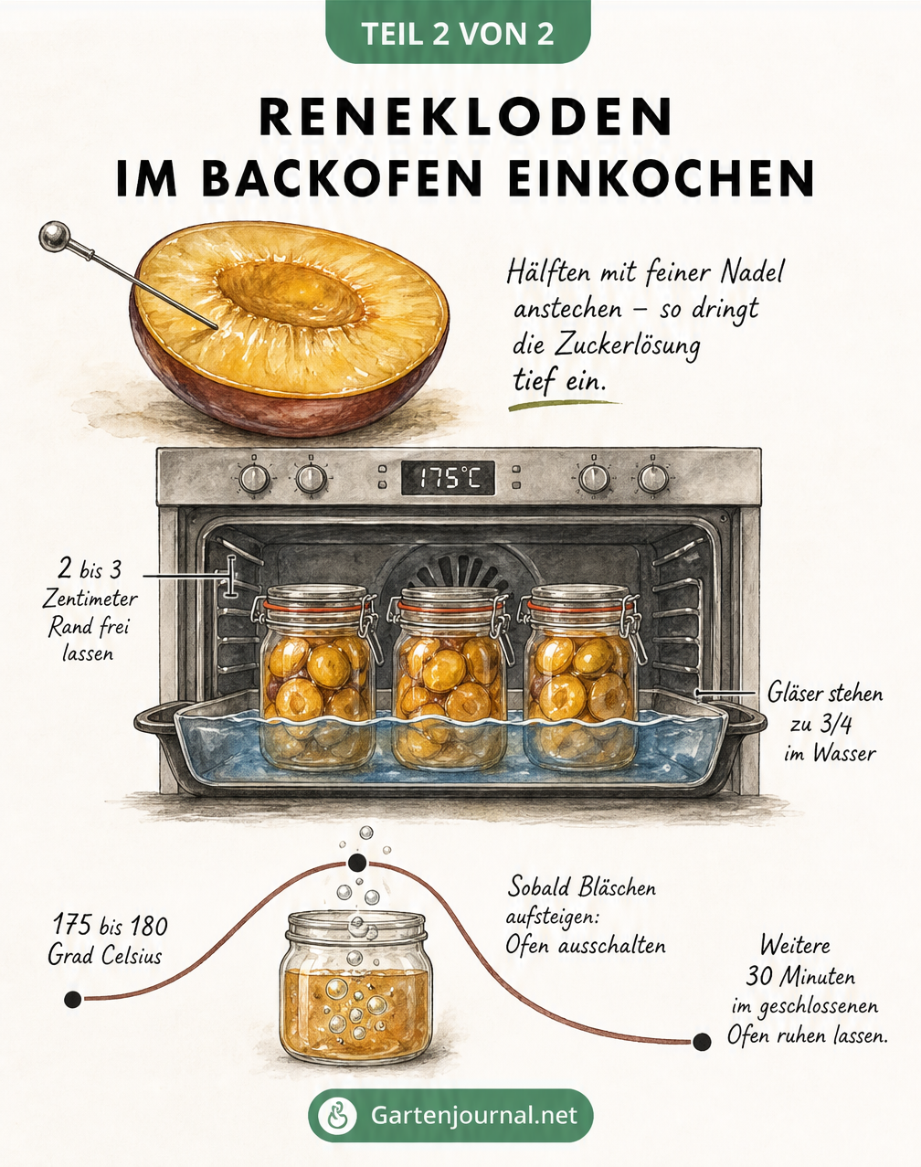 Renekloden im Backofen einkochen: Früchte anstechen, Gläser im Wasserbad und Temperaturkurve
