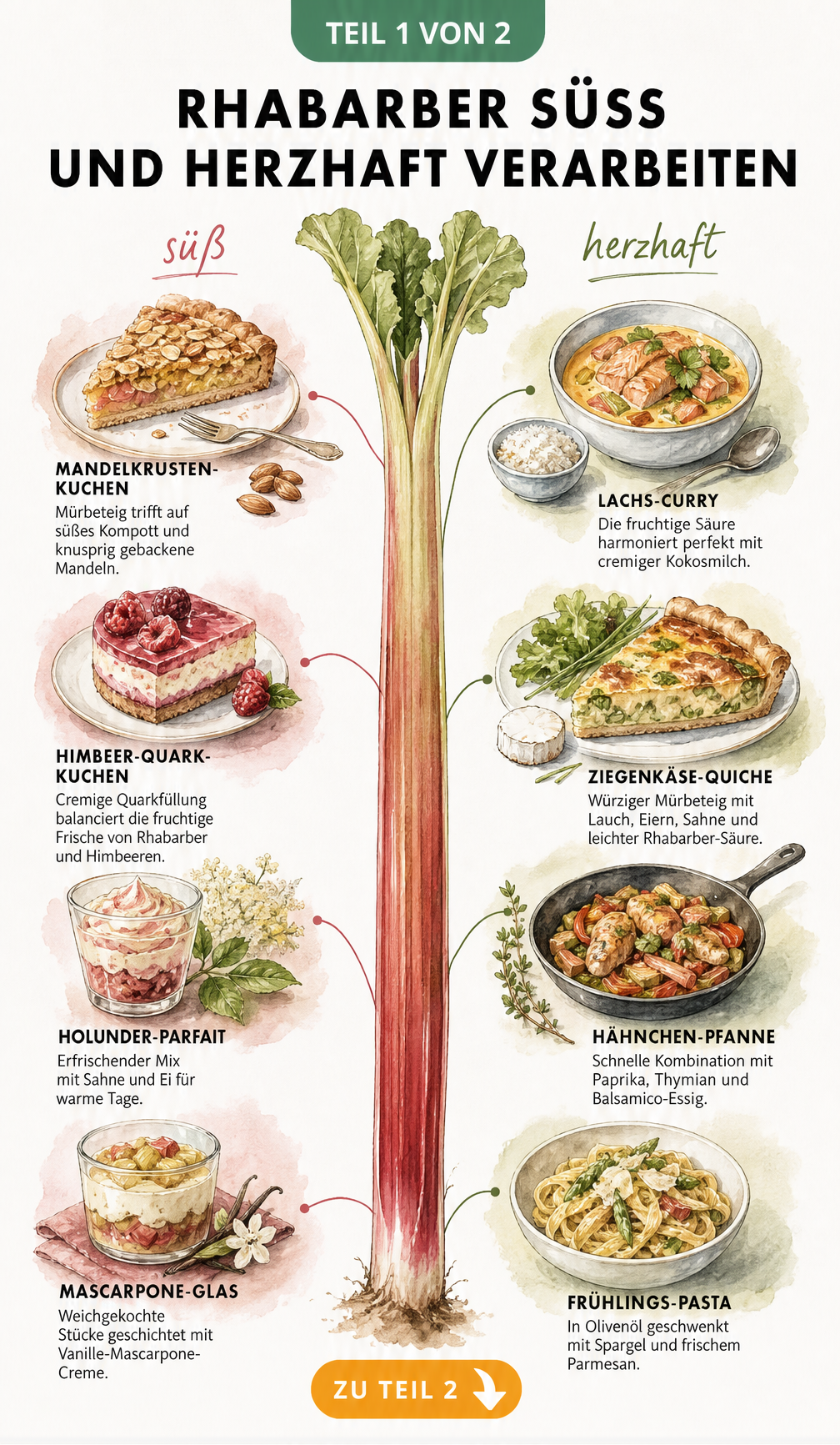 Illustration von süßen und herzhaften Rhabarber-Rezepten wie Kuchen, Parfait, Lachs-Curry und Quiche
