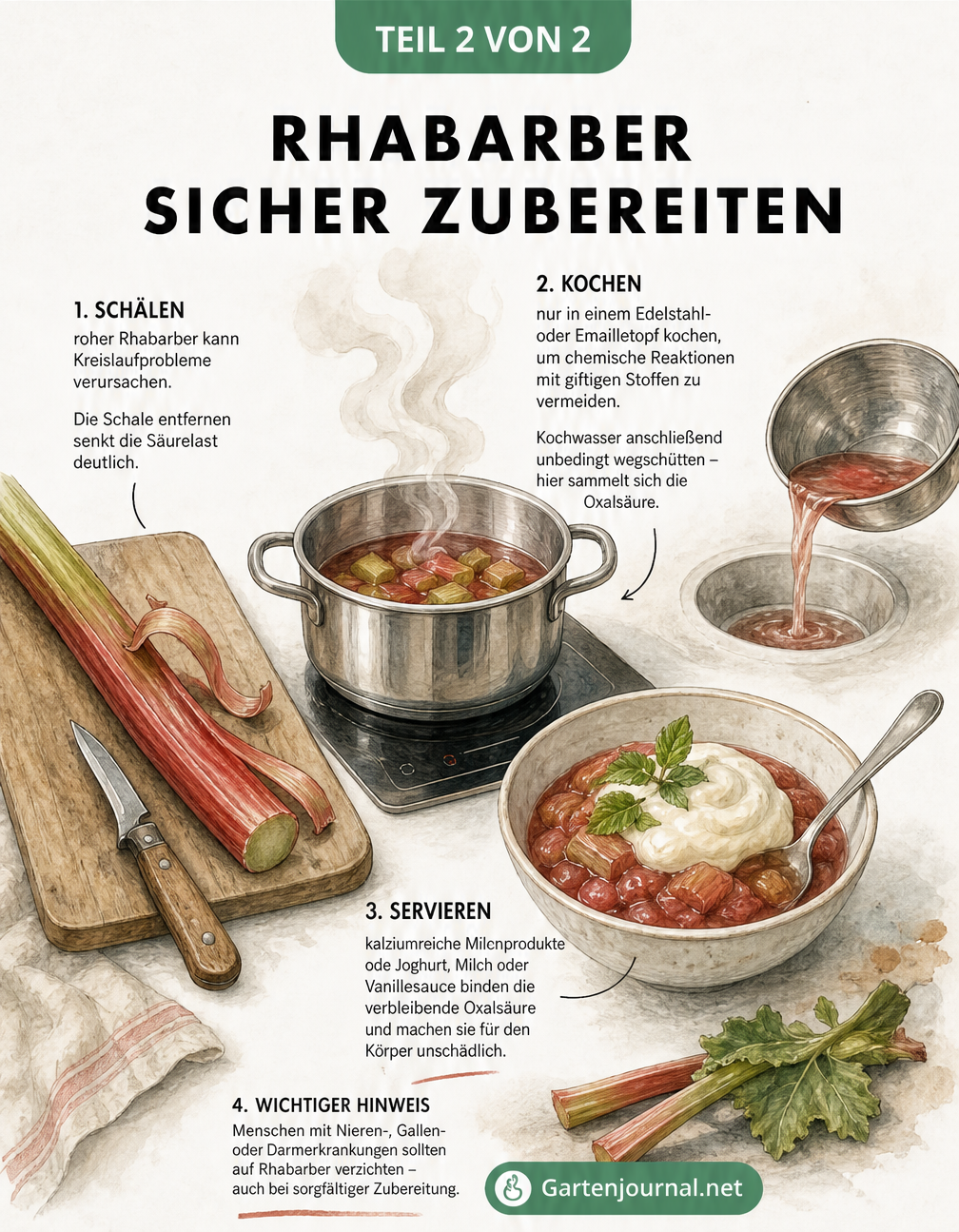 Illustration der Rhabarber-Zubereitung: Schälen, Kochen im Edelstahltopf und Servieren mit Joghurt