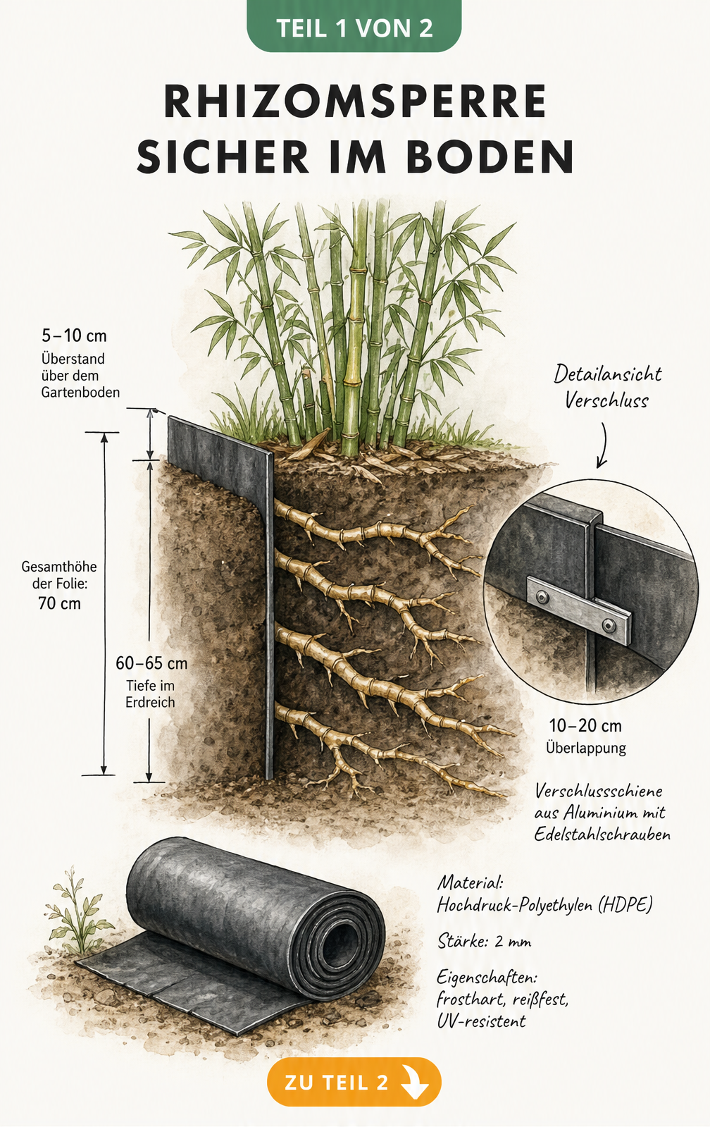 Illustration eines Erdschnitts mit Bambus und einer Rhizomsperre aus HDPE-Folie mit Verschlussschiene