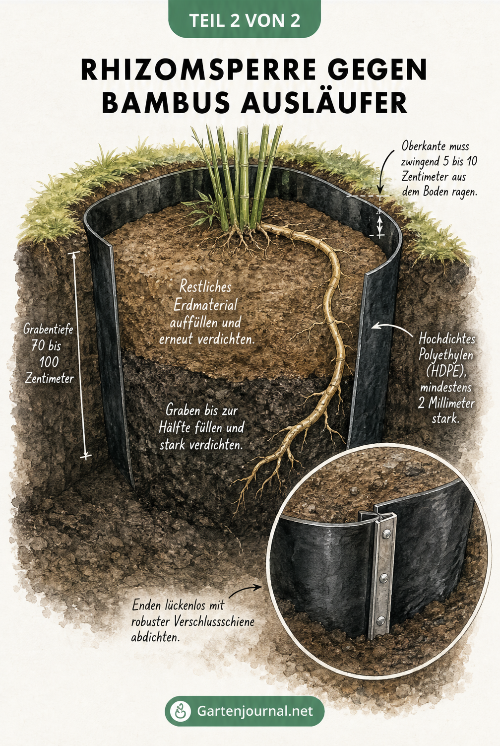 Diorama-Schnitt einer Rhizomsperre aus HDPE-Folie im Gartenboden