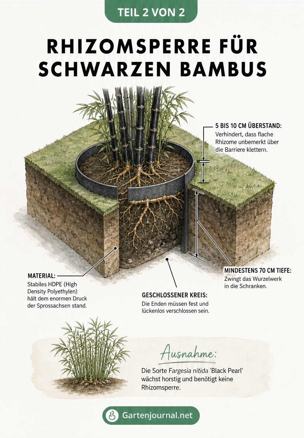 Isometrische 3D-Schnittansicht einer Rhizomsperre für Schwarzen Bambus im Gartenboden