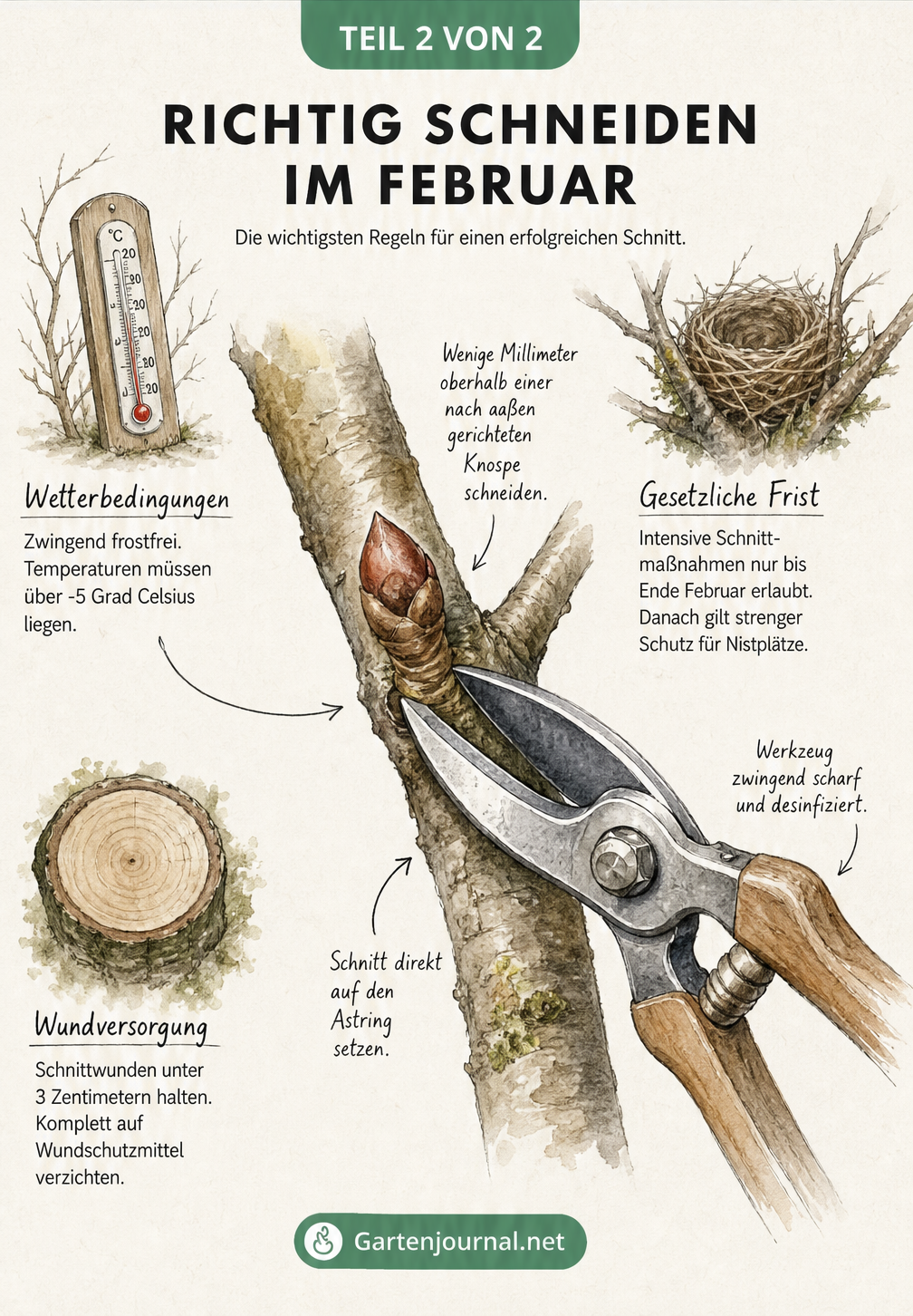 Detailzeichnung eines Astes mit Knospe und Gartenschere, umgeben von Thermometer und Vogelnest