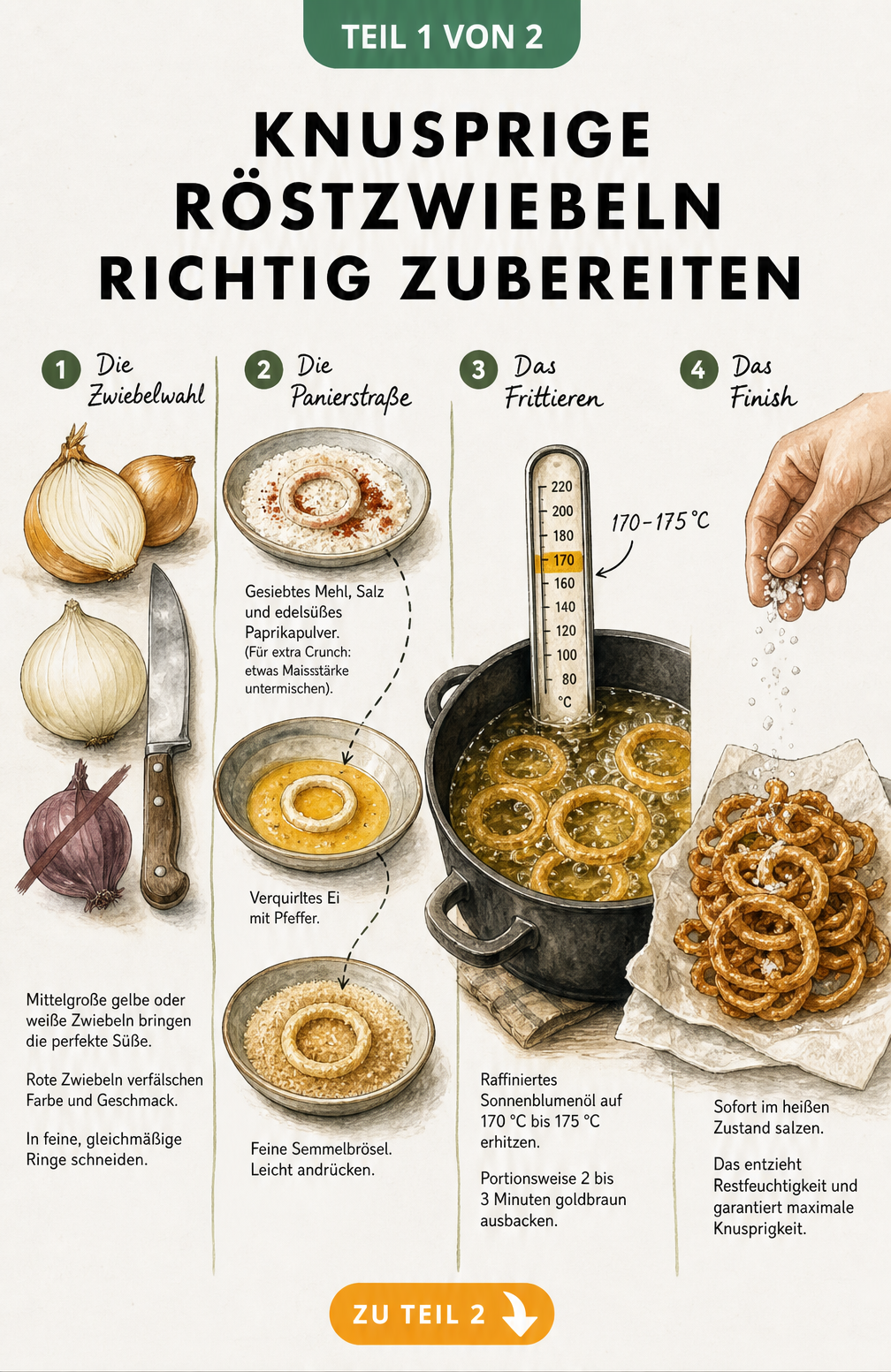 Illustration der vier Arbeitsschritte für knusprige Röstzwiebeln: Zwiebelwahl, Panierstraße, Frittieren und Salzen.