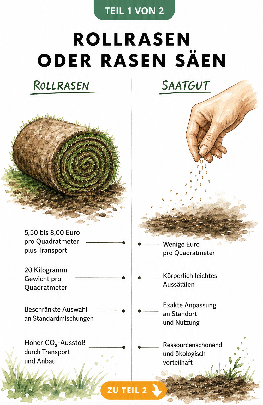 Gegenüberstellung von Rollrasen und Saatgut mit Kosten, Gewicht und ökologischen Aspekten