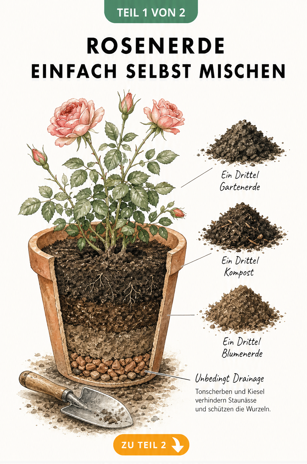 Querschnitt eines Terrakotta-Topfes mit einer blühenden Rose, Pflanzschaufel und drei Erdhäufchen aus Gartenerde, Kompost und Blumenerde sowie einer...