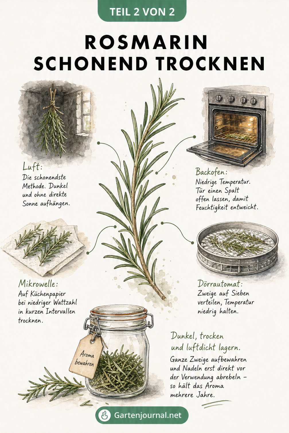 Illustration von vier Methoden zur Trocknung von Rosmarin: Luft, Backofen, Mikrowelle und Dörrautomat