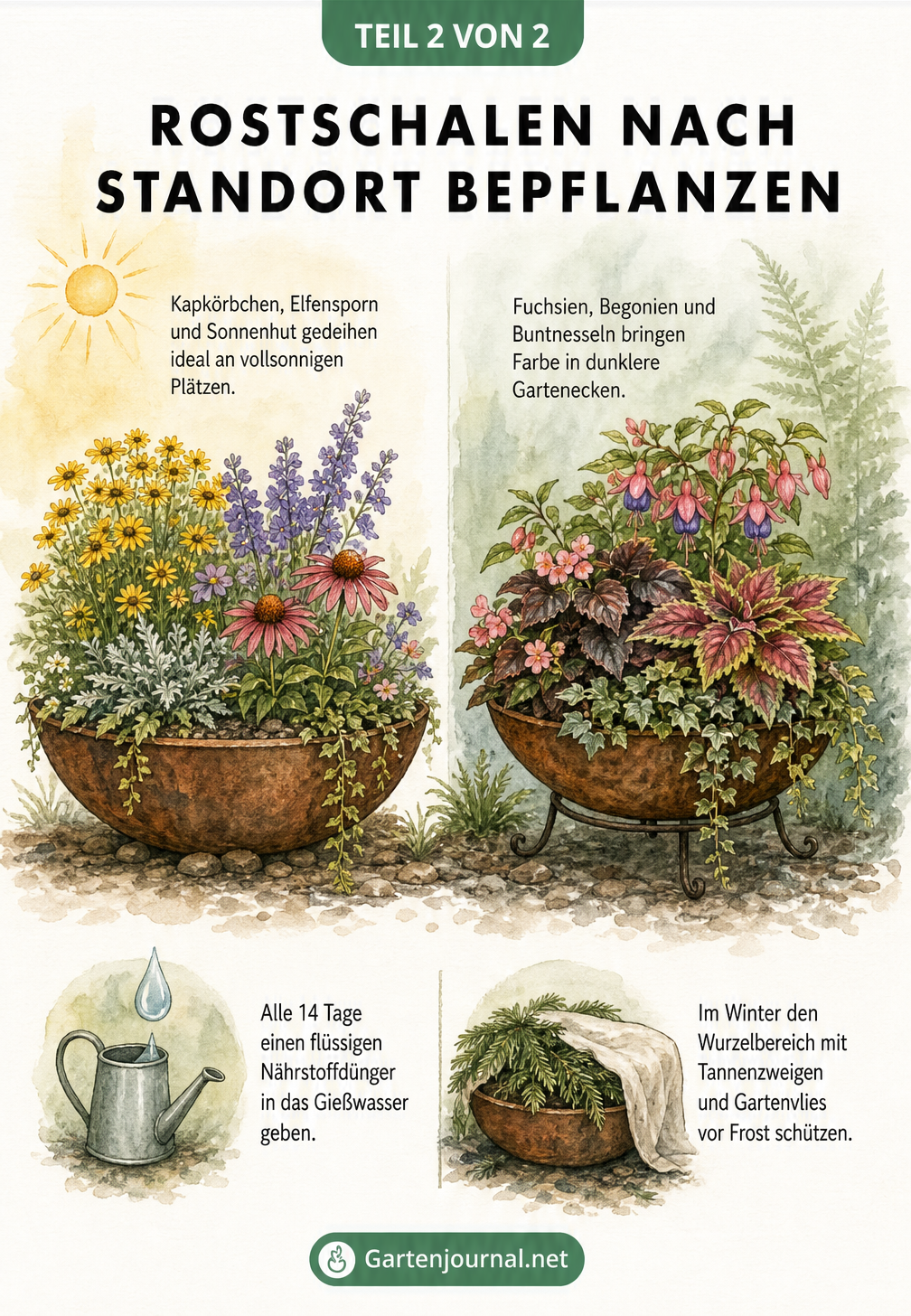 Illustration von bepflanzten Rostschalen für sonnige und schattige Standorte mit Pflegetipps