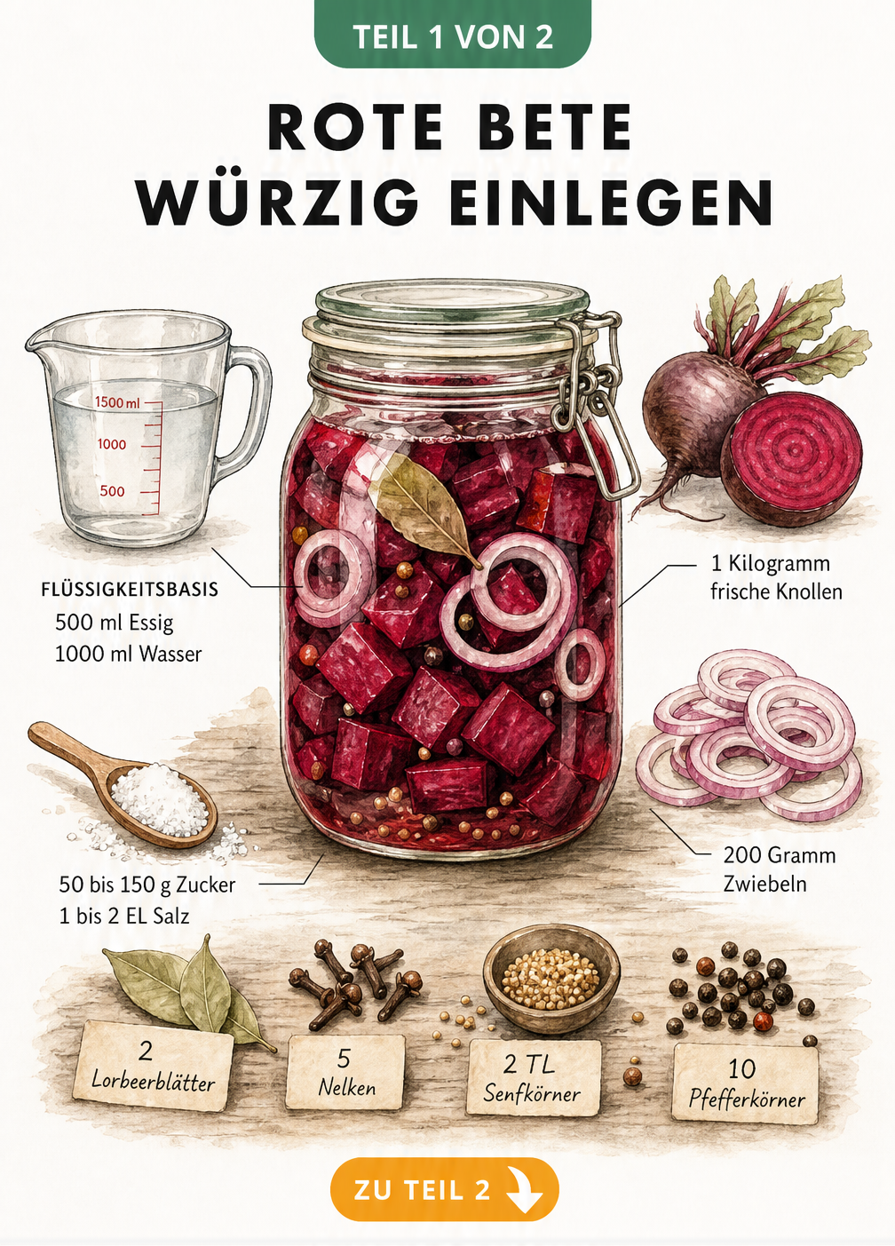 Illustration eines Einmachglases mit Rote Bete, umgeben von Zutaten wie Essig, Wasser, Zucker, Salz, Zwiebeln und Gewürzen.
