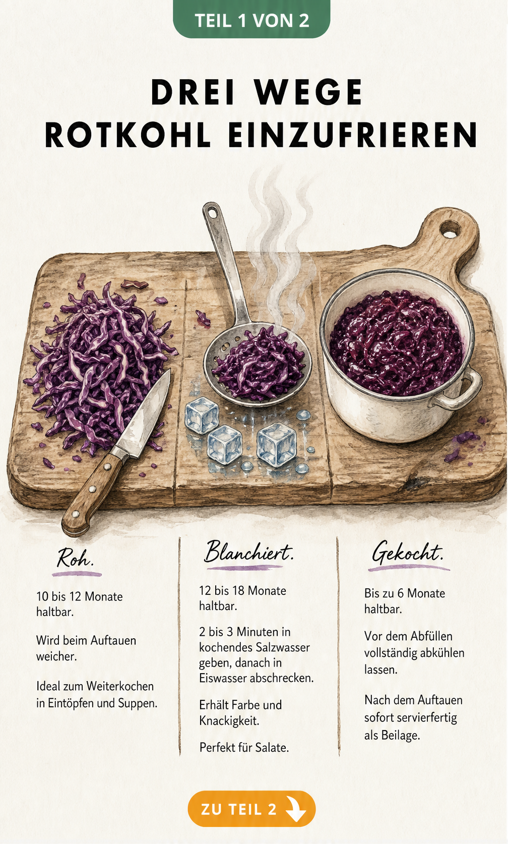 Illustration von drei Methoden, um Rotkohl einzufrieren: roh, blanchiert und gekocht auf einem Holzbrett.