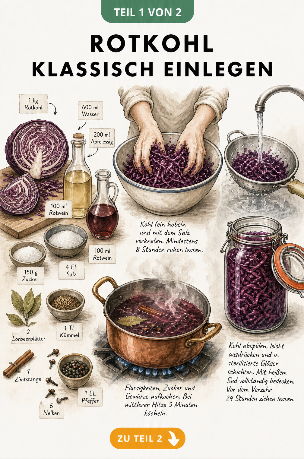 Illustration der Arbeitsschritte zum klassischen Einlegen von Rotkohl mit Zutaten, Vorbereitung, Sud kochen und Abfüllen