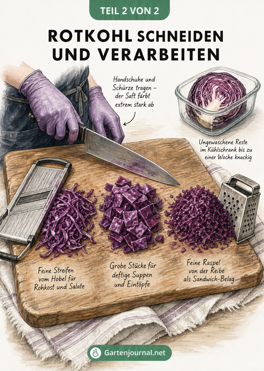 Illustration: Rotkohl schneiden - feine Streifen, grobe Stücke und Raspeln auf einem Holzbrett