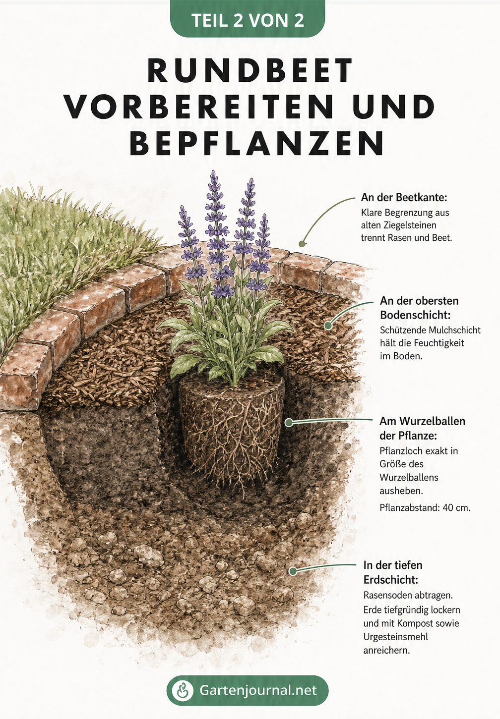 Querschnitt durch ein Rundbeet mit Beetumrandung aus Ziegelsteinen, Mulchschicht, Pflanzloch und tiefgründig gelockerter Erde mit Kompost.