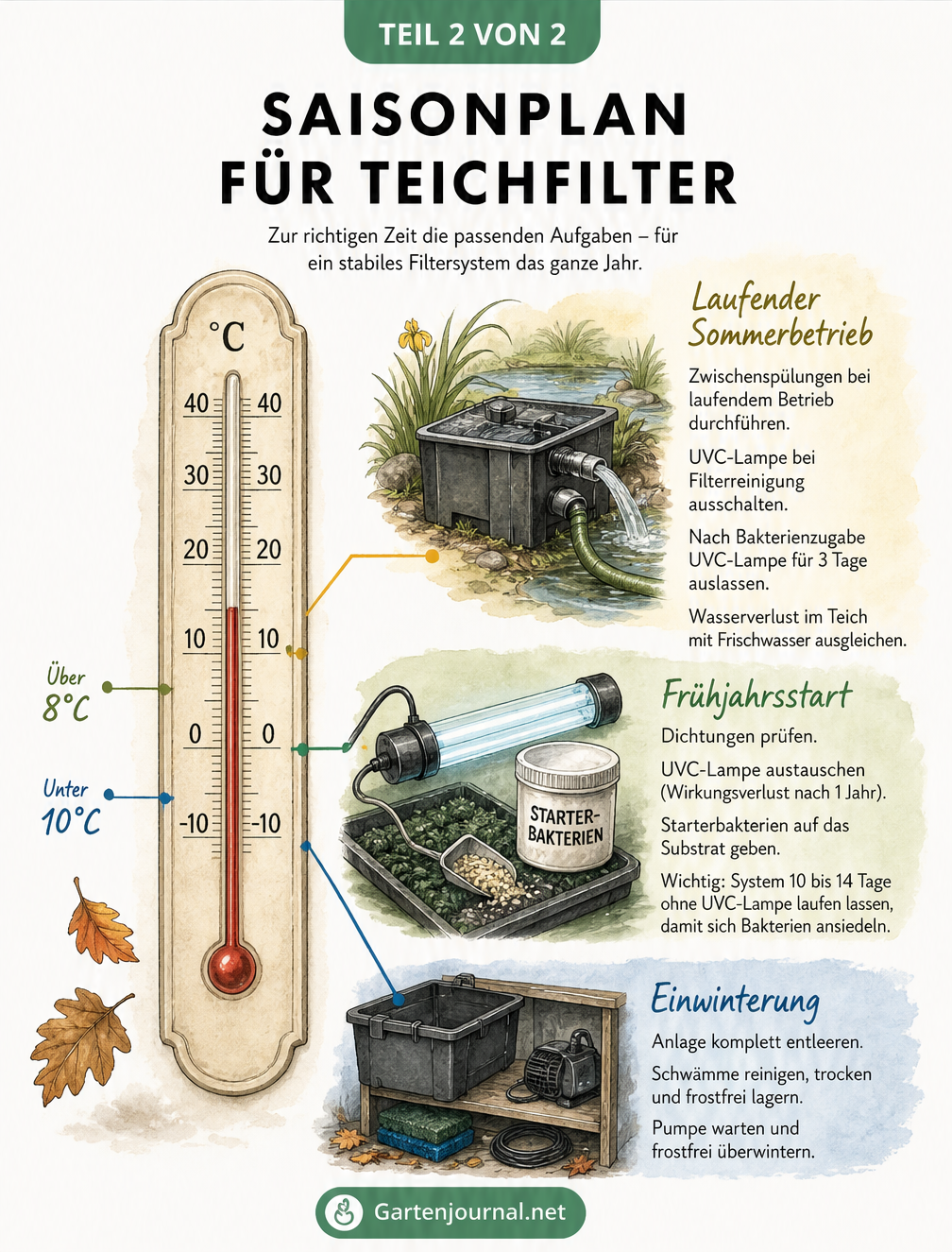 Saisonplan für den Teichfilter mit Thermometer und Pflege-Stationen für Einwinterung, Frühjahr und Sommer