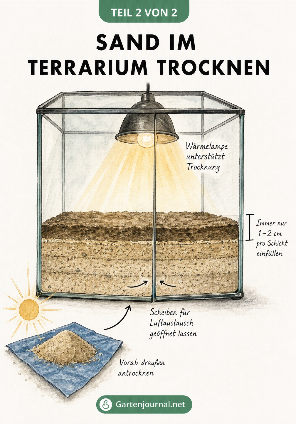 Querschnitt eines Terrariums mit geschichtetem Sand, einer Wärmelampe an der Decke und leicht geöffneten Glasschiebetüren für den Luftaustausch.