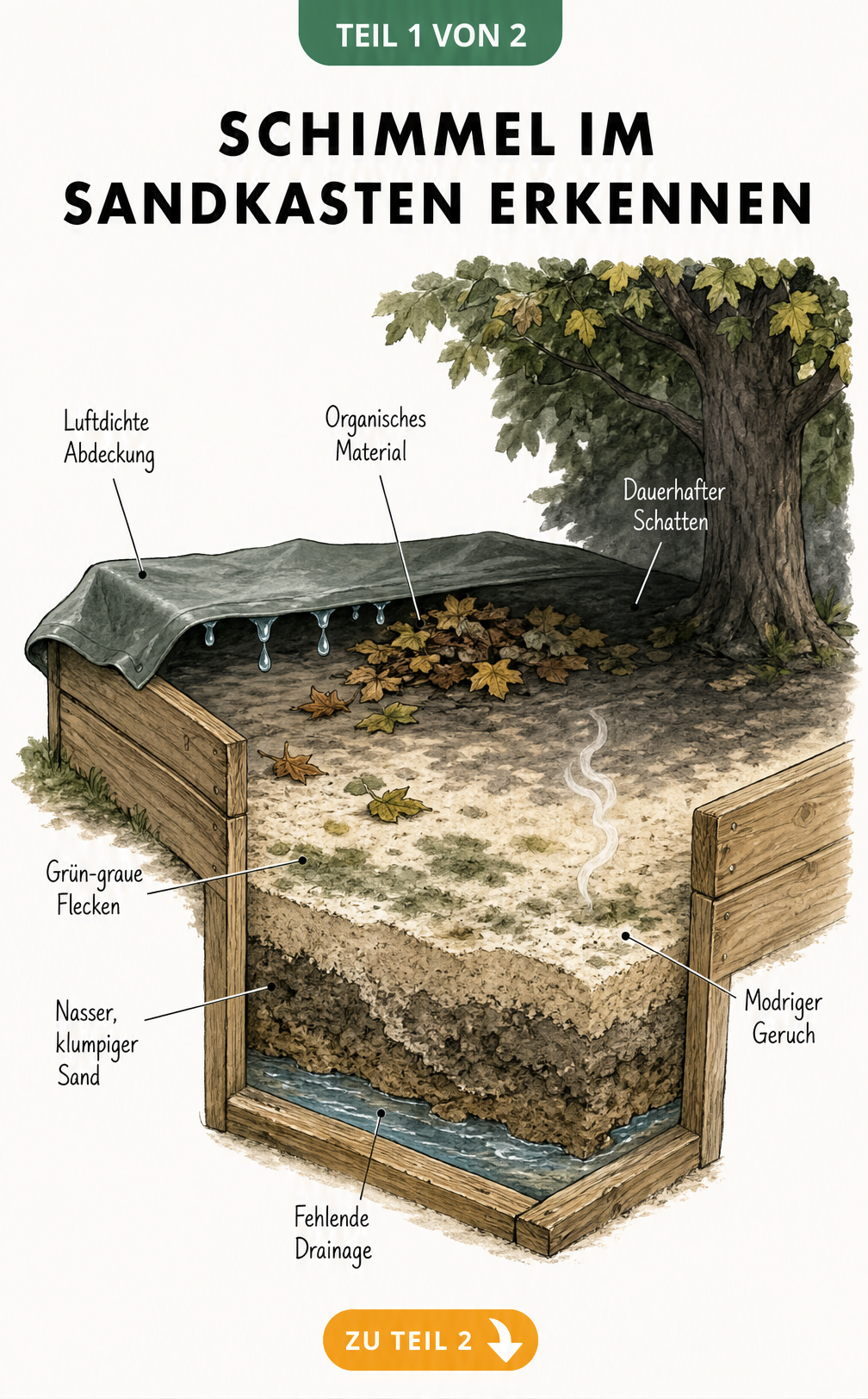 Querschnitt eines Sandkastens mit Schimmelbildung durch luftdichte Abdeckung, Schatten und fehlende Drainage
