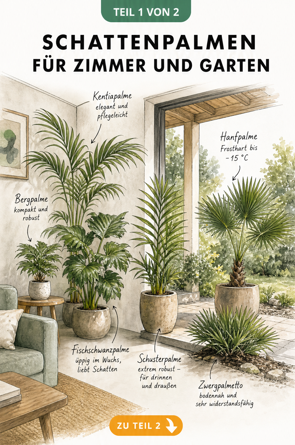 Illustration eines Wohnraums und einer Terrasse mit verschiedenen schattenverträglichen Palmenarten wie Bergpalme und Hanfpalme