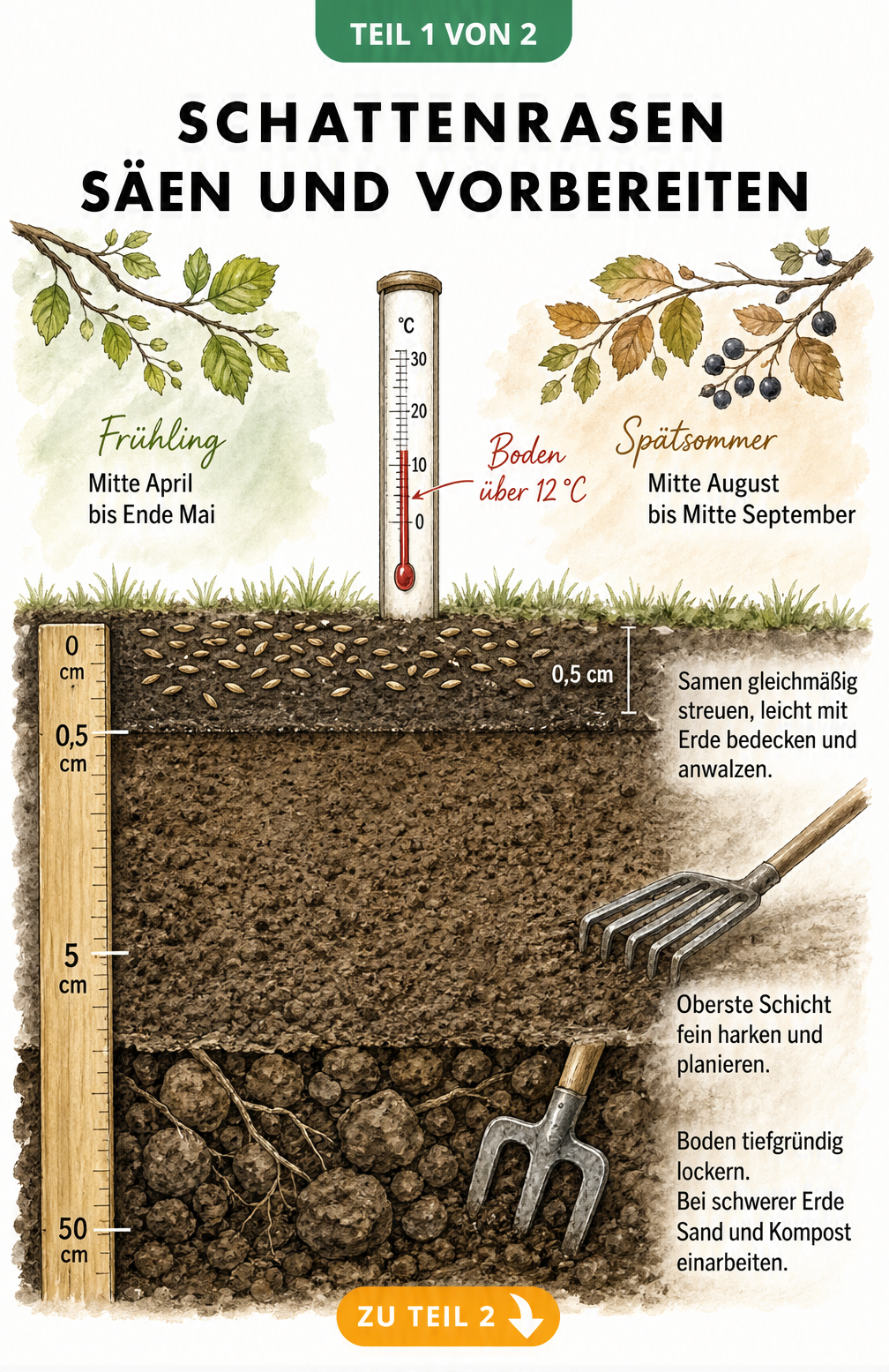 Querschnitt eines Gartenbodens mit Jahreszeiten-Band, Bodenthermometer und Erdschichten zur Vorbereitung für Schattenrasen