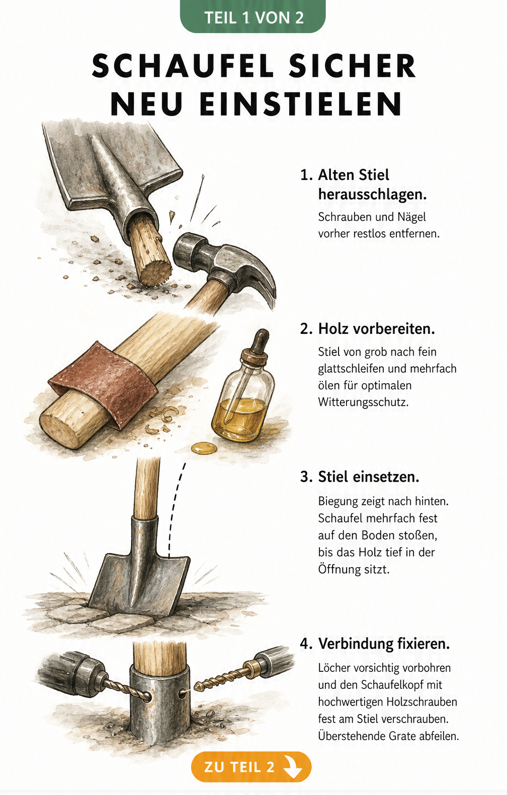 Skizze der vier Arbeitsschritte zum Einstielen einer Schaufel: Alten Stiel entfernen, Holz schleifen und ölen, Stiel einsetzen und verschrauben.