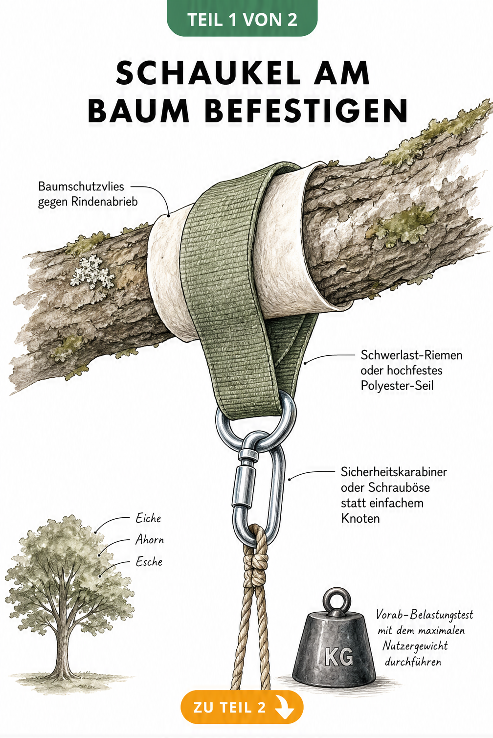 Illustration zur sicheren Befestigung einer Schaukel an einem dicken Ast mit Baumschutzvlies, Schwerlast-Riemen und Sicherheitskarabiner