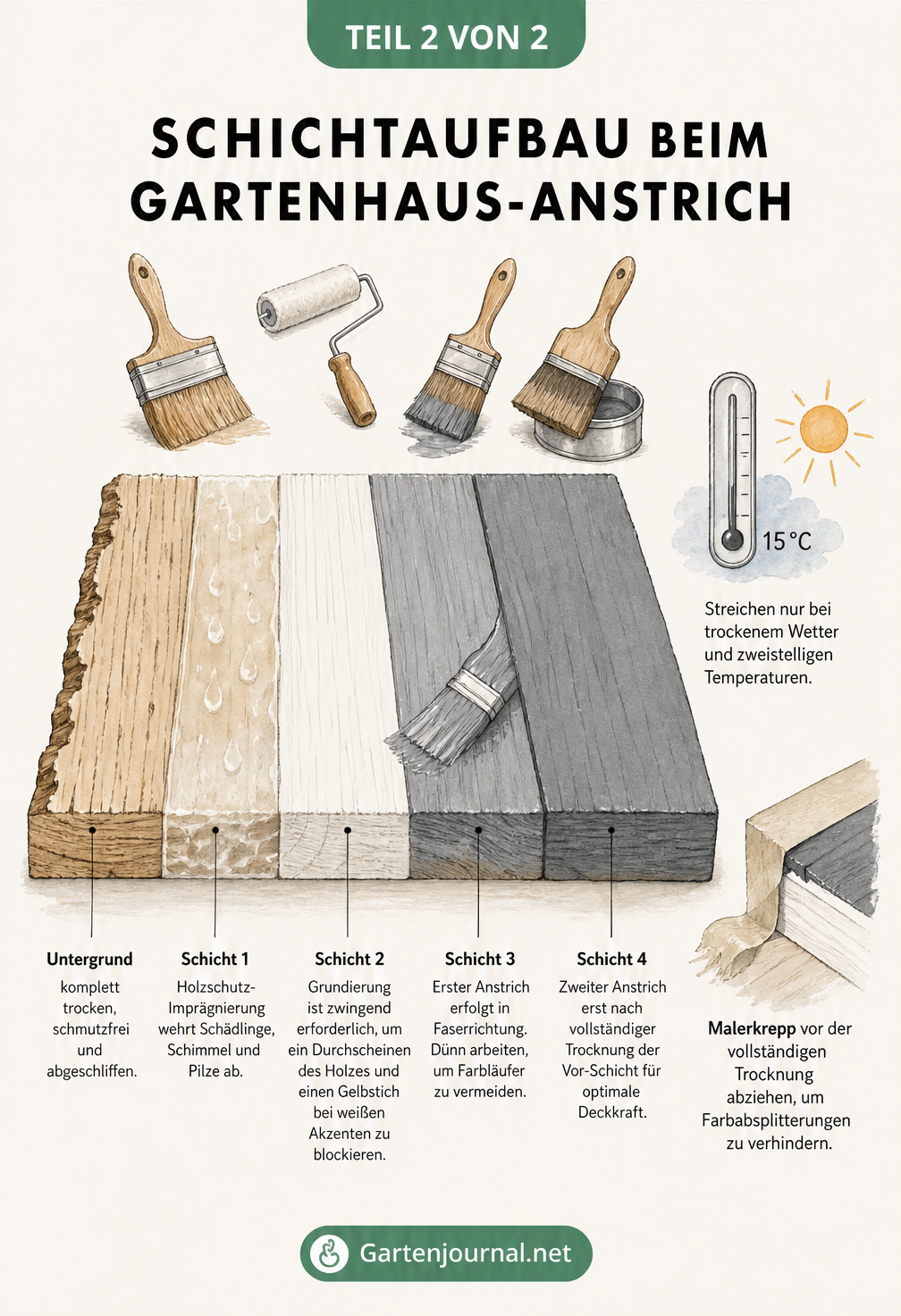 Querschnitt durch ein Holzbrett, der die Schichten beim Streichen eines Gartenhauses zeigt: Imprägnierung, Grundierung und zwei Farbschichten