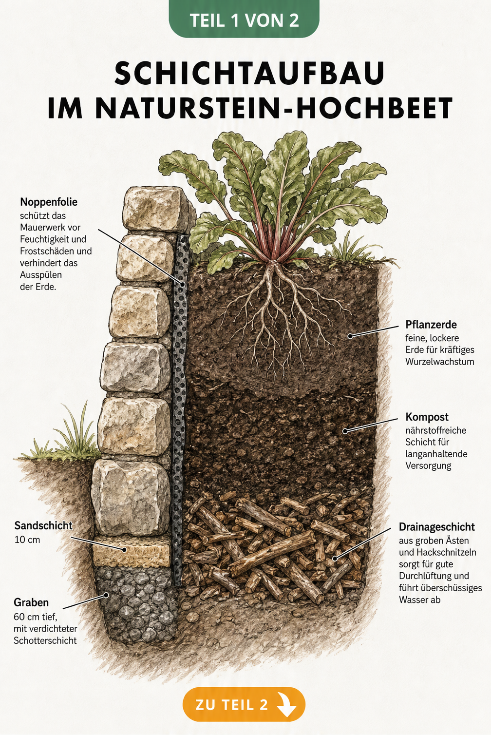 Schnittzeichnung eines Naturstein-Hochbeets mit Fundament, Maueraufbau und drei Füllschichten