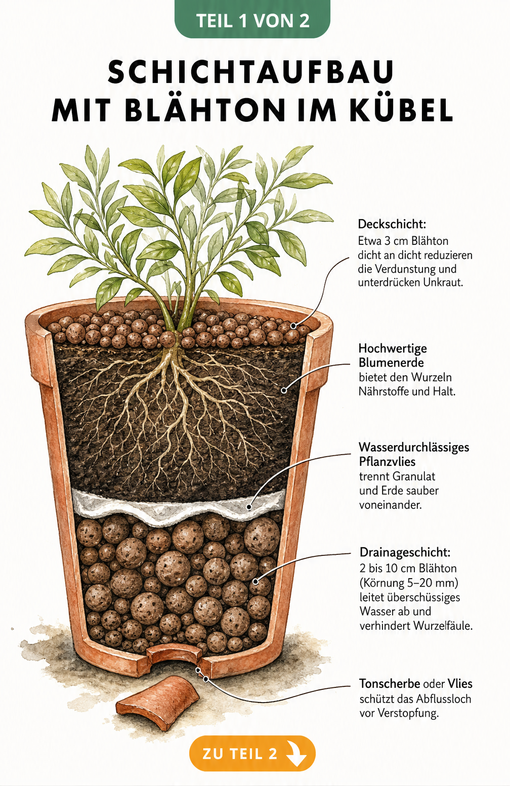 Querschnitt eines Pflanzkübels mit Blähton-Drainageschicht, Pflanzvlies, Blumenerde und Blähton-Deckschicht