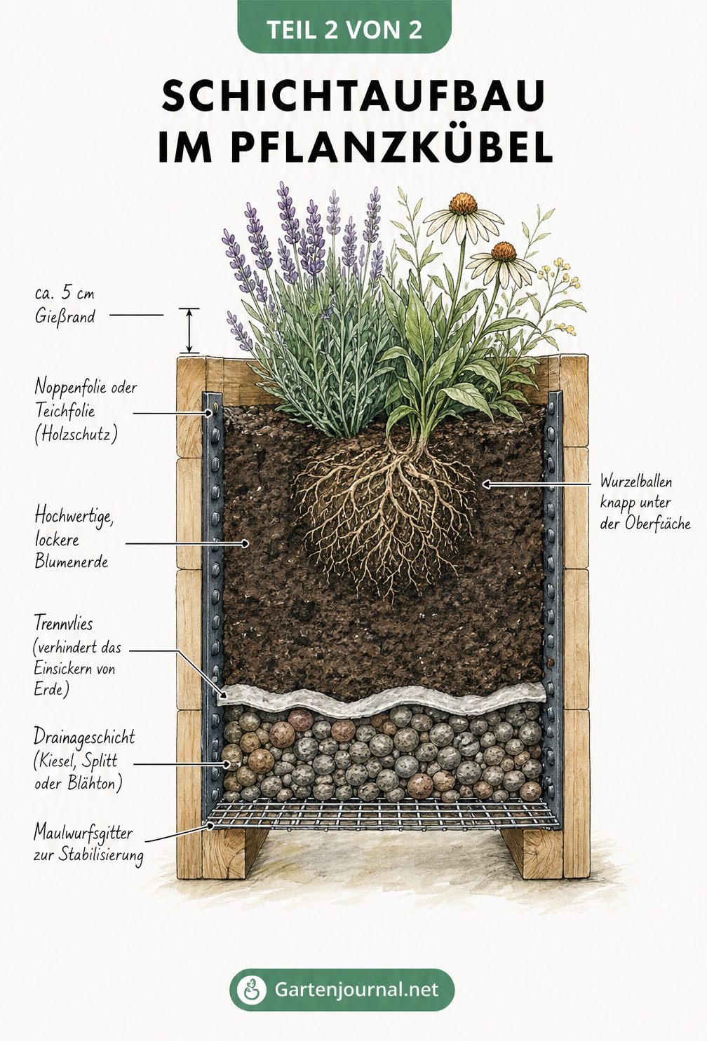 Schnittbild eines bepflanzten Kübels mit Schichtaufbau von Drainage bis Blumenerde