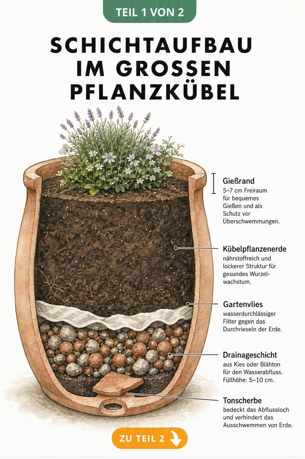 Querschnitt durch einen Pflanzkübel mit Tonscherbe, Drainageschicht aus Blähton, Gartenvlies und Kübelpflanzenerde sowie Gießrand