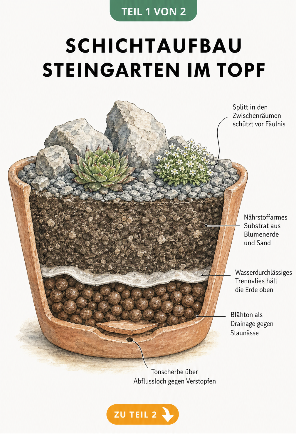 Schnittdarstellung eines Mini-Steingartens im Topf mit Schichtaufbau aus Tonscherbe, Blähton, Trennvlies, Substrat und Splitt