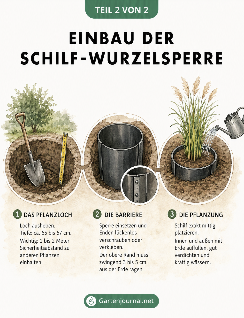 Skizzenreihe zum Einbau einer Schilf-Wurzelsperre in drei Schritten