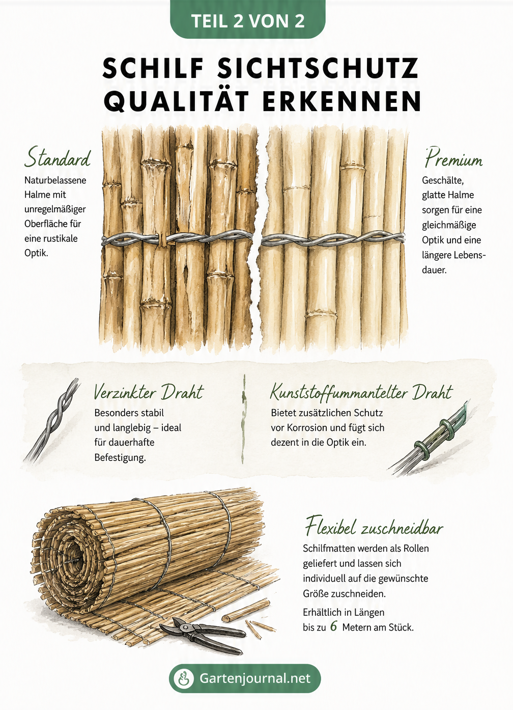 Detailansicht von Schilfhalmen im Vergleich: naturbelassen vs. geschält mit Drahtbindung
