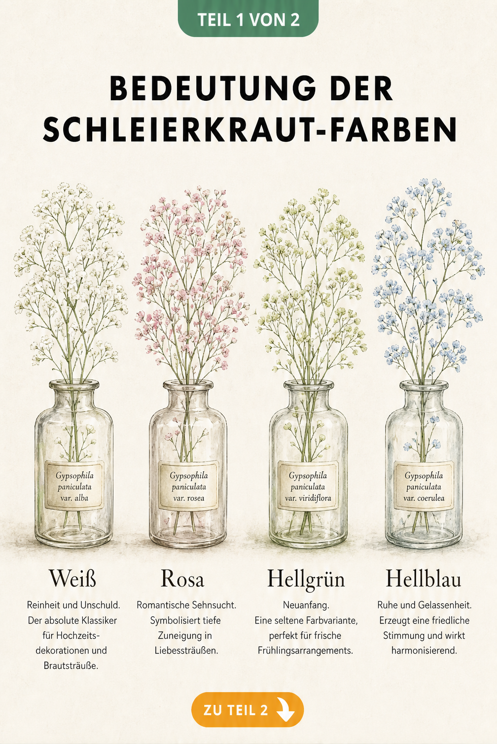 Vier antike Apothekerfläschchen mit Schleierkraut in Weiß, Rosa, Hellgrün und Hellblau zur Erklärung der Farbsymbolik