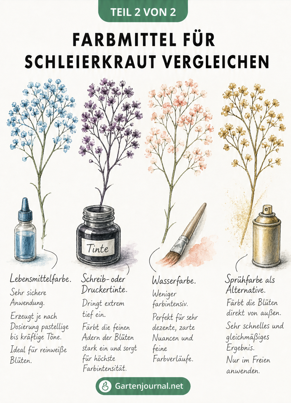 Vergleich von vier Schleierkraut-Zweigen, gefärbt mit Lebensmittelfarbe, Tinte, Wasserfarbe und Sprühfarbe