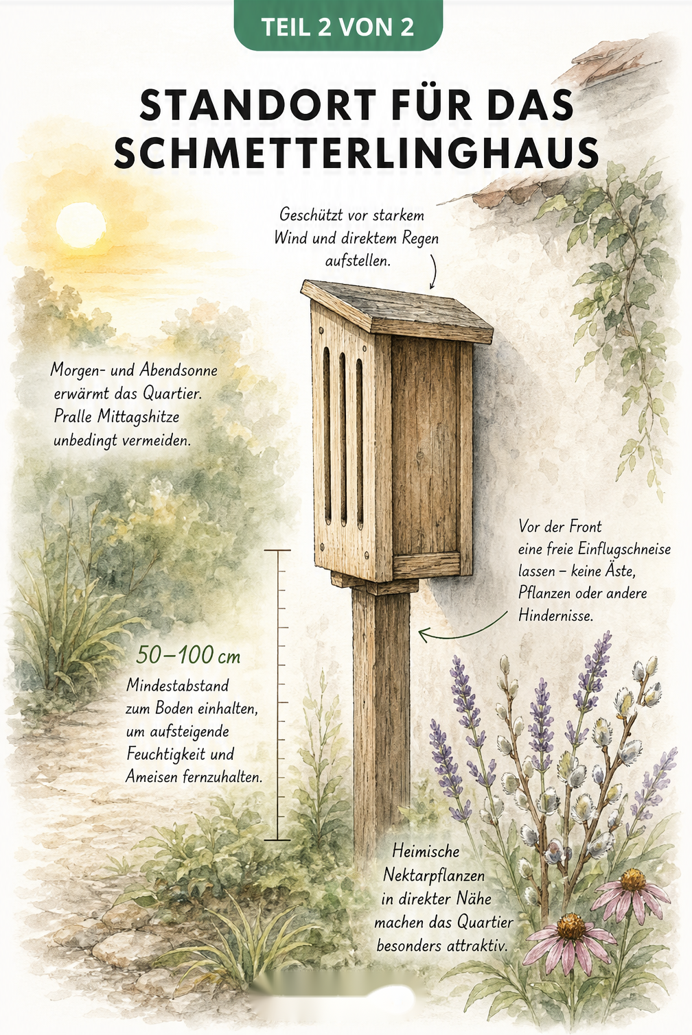 Aquarell-Illustration eines Schmetterlingshauses an einem Holzpfahl mit Hinweisen zu Sonnenlicht, Bodenabstand und Nektarpflanzen