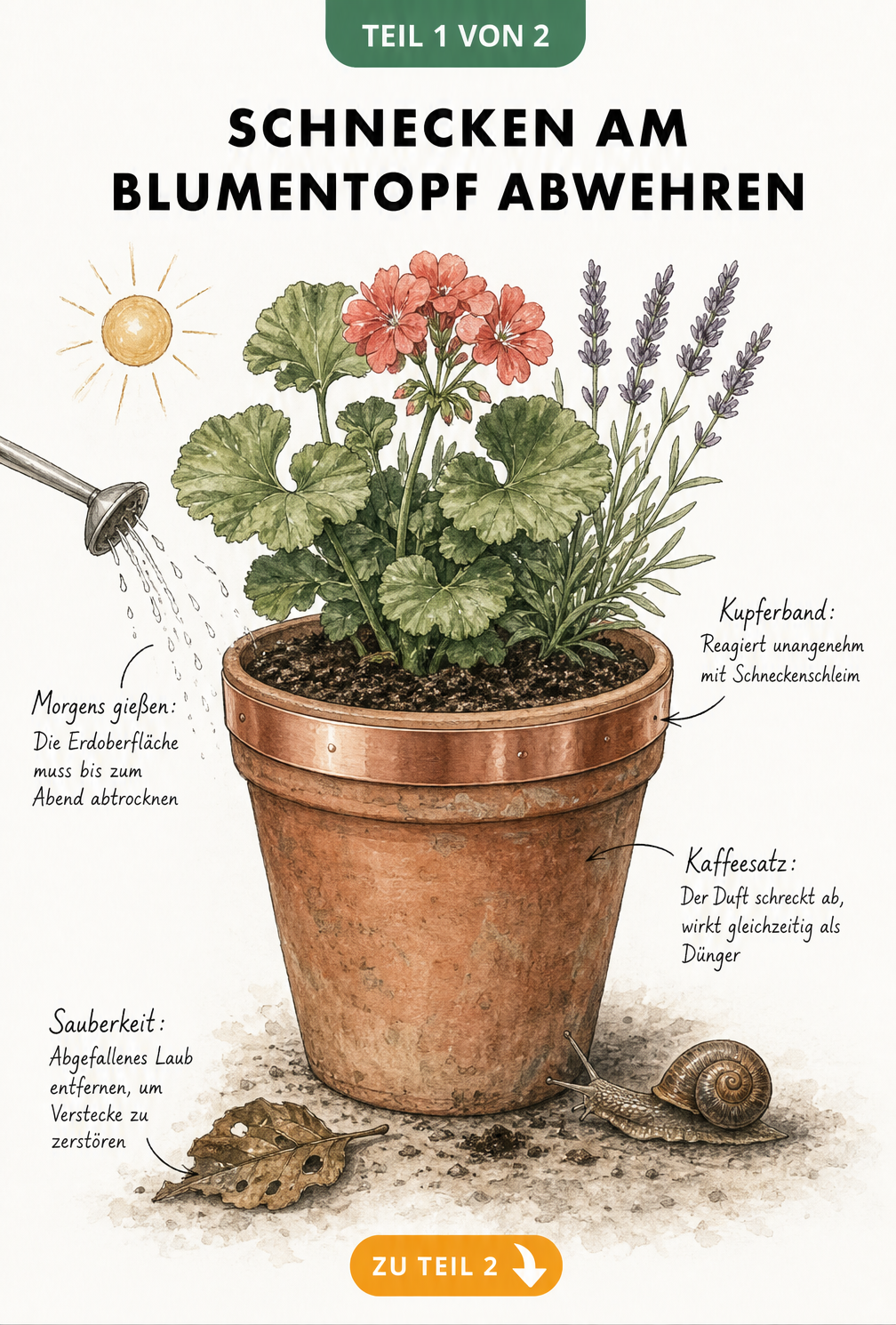 Illustration eines Blumentopfs mit Kupferband, Kaffeesatz und Gießkanne zur Abwehr von Schnecken