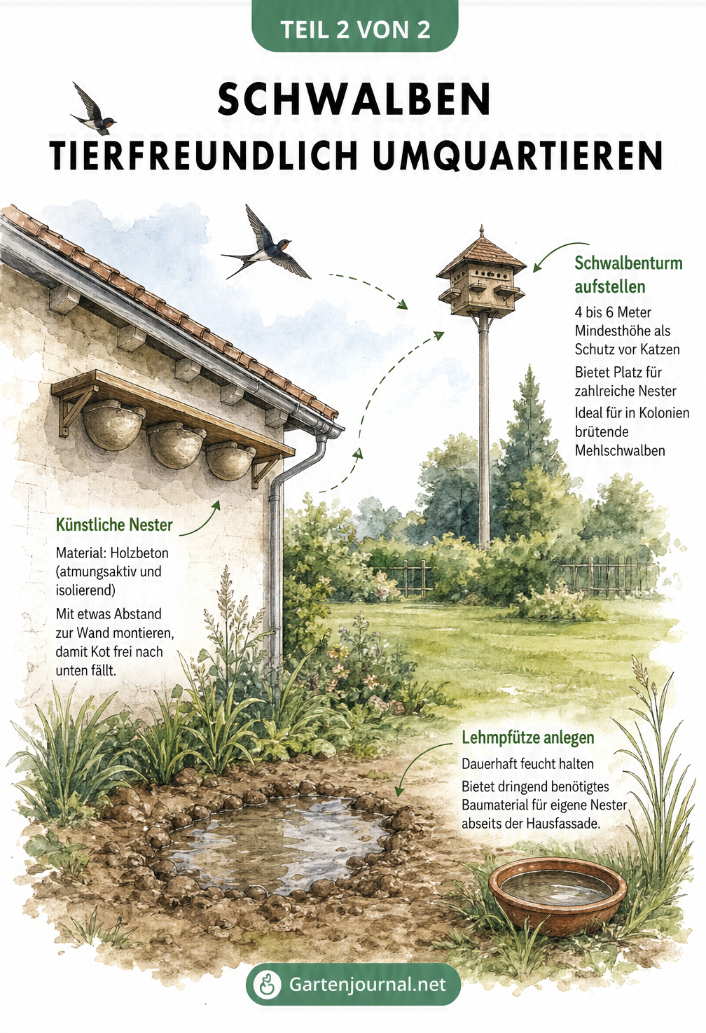 Aquarell-Illustration eines Gartens mit Lehmpfütze, künstlichen Nestern an einer Wand und einem Schwalbenturm auf einer Rasenfläche.