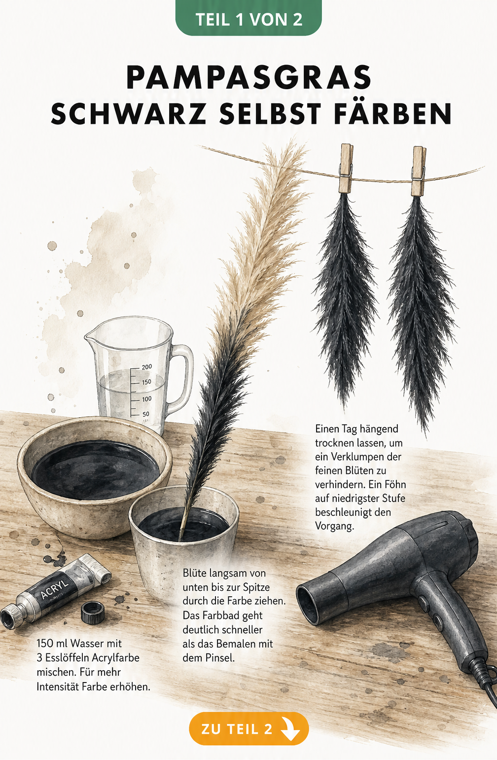 Illustration eines schwarzen Pampasgras-Wedels mit Texten zu Qualität, Haltbarkeit, Preis und Herkunft