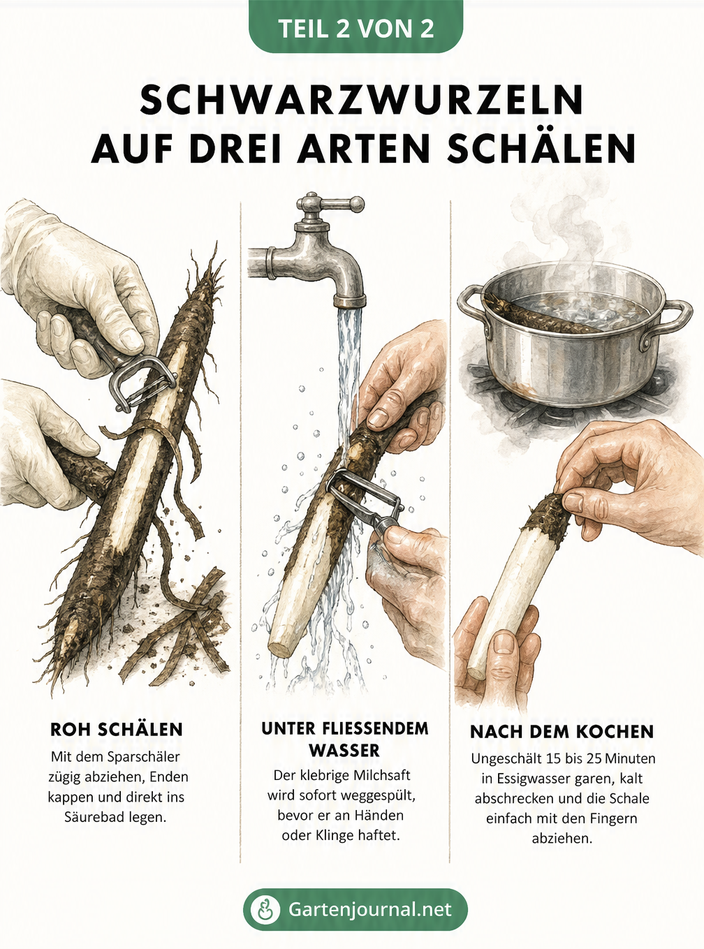 Drei Methoden zum Schälen von Schwarzwurzeln: Roh mit Sparschäler, unter fließendem Wasser und nach dem Kochen abziehen
