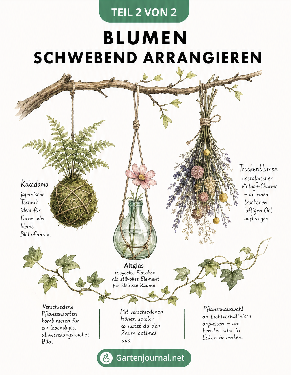 Skizze von schwebenden Blumenarrangements mit Kokedama, Glasflasche und Trockenblumen